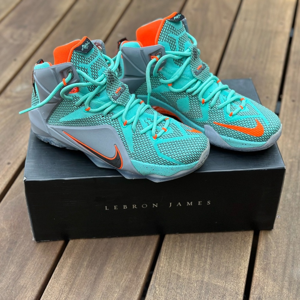 Nike Lebron 12 NSRL Size 9